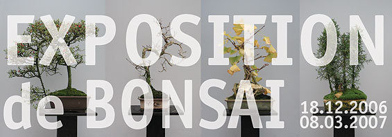 1re Exposition de bonsaï dans Le Centre de Bonsaï de Moscou.