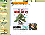Kinashi Bonsai Gardening Festival