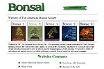 American Bonsai Society