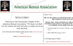 American Bonsai Association of Sacramento (ABAS)
